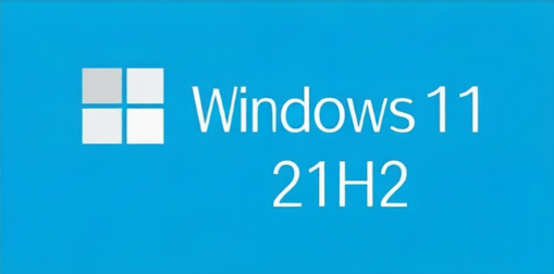 【官方原版】Windows 11 21H2 五合一版本