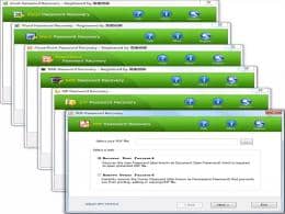Top Password Recovery 密码恢复全家桶