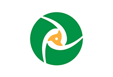 PDF Split and Merge Basic Edition v6.0.1 PDF编辑器